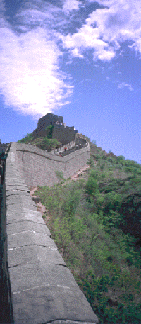gwgd1s.gif (62948 bytes)
